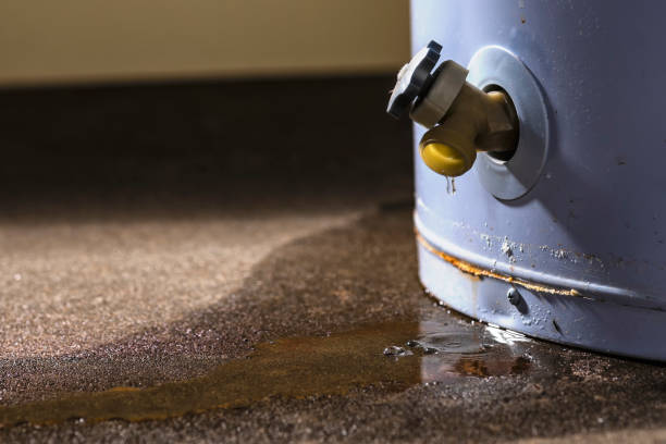 Best Water damage contractors near me  in Venice Gardens, FL