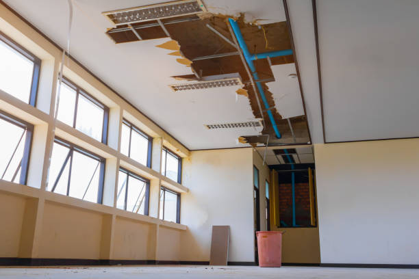 Best Flood restoration services  in Venice Gardens, FL