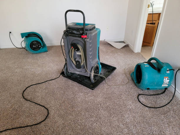 Venice Gardens, FL Water damage restoration Company