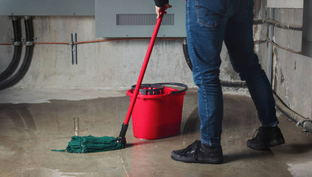 Best Residential water damage restoration  in Venice Gardens, FL